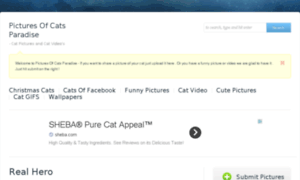 Cdn.cats-paradise.net thumbnail