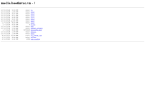 Cdnmedia.baotintuc.vn thumbnail