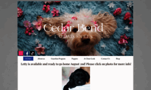 Cedarbendlabradoodles.com thumbnail