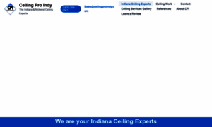 Ceilingproindy.com thumbnail