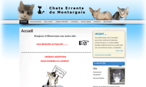 Cemmontargis.fr thumbnail