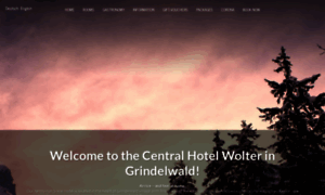 Central-wolter.ch thumbnail