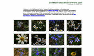 Centraltexaswildflowers.com thumbnail