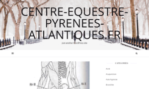 Centre-equestre-pyrenees-atlantiques.fr thumbnail