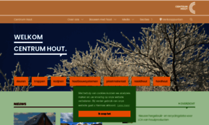 Centrum-hout.nl thumbnail