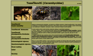Cerambycidae-hrbek.cz thumbnail