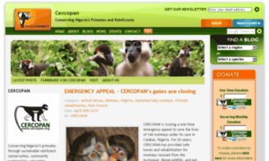Cercopan.wildlifedirect.org thumbnail