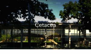 Cetacea.ca thumbnail