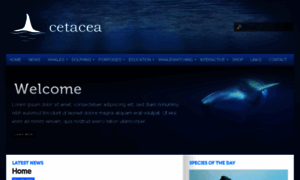 Cetacea.org thumbnail