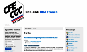 Cfecgc-ibm.fr thumbnail