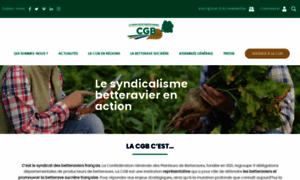Cgb-france.fr thumbnail
