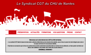 Cgt-chu-nantes.org thumbnail