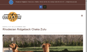 Chaka-zulu.de thumbnail