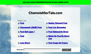 Chamoisniortais.com thumbnail