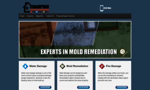 Championrestorationexperts.com thumbnail