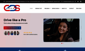 Championsdrivingschools.com thumbnail