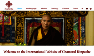Chamtrul-rinpoche.com thumbnail