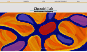 Chandellab.com thumbnail