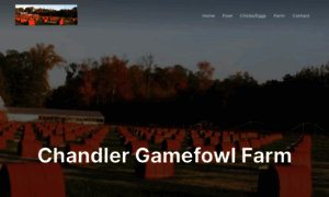 Chandlergamefowlfarm.com thumbnail