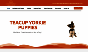 Chandrabrunsteacupyorkiepuppies.com thumbnail