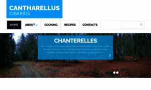 Chanterelle.net thumbnail