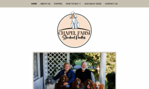 Chapelfarmstandardpoodles.com thumbnail