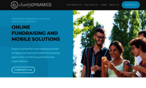 Charitydynamics.com thumbnail
