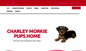 Charleymorkiepupshome.com thumbnail