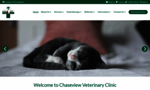 Chaseviewvets.co.uk thumbnail