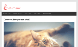 Chat-maux.com thumbnail