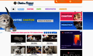 Chats-de-france.com thumbnail