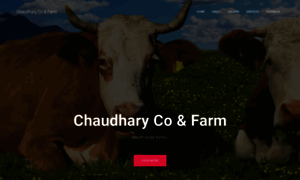 Chaudharycofarm.com thumbnail