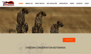 Cheetahconservationbotswana.org thumbnail