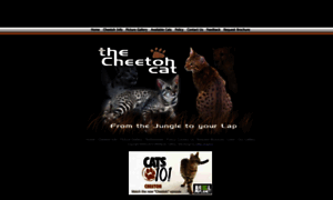 Cheetohcats.com thumbnail