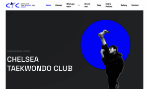 Chelseataekwondoclub.com thumbnail