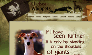 Chelseawhippets.com thumbnail