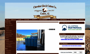Cherokeegin.com thumbnail