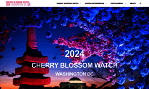Cherryblossomwatch.com thumbnail