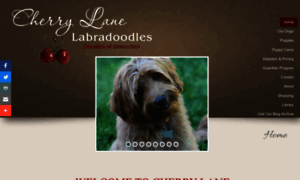 Cherrylanelabradoodles.com thumbnail