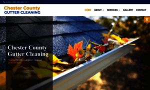 Chestercountyguttercleaning.com thumbnail