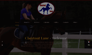 Chestnutlane.net thumbnail