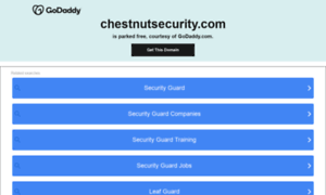 Chestnutsecurity.com thumbnail