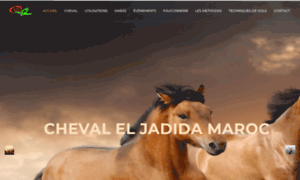 Cheval-eljadida-maroc.com thumbnail