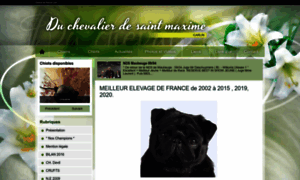 Chevalier-saint-maxime.chiens-de-france.com thumbnail