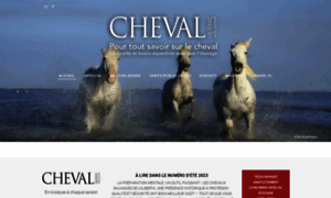 Chevalquebecmag.com thumbnail