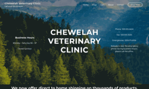 Chewelahveterinaryclinic.com thumbnail