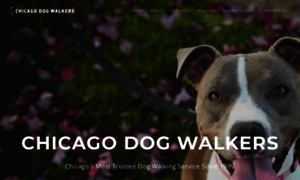 Chicago-dogwalkers.com thumbnail