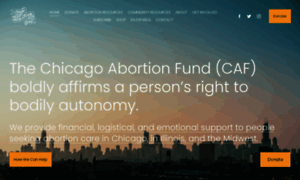 Chicagoabortionfund.org thumbnail