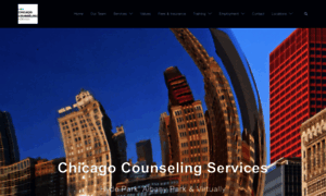 Chicagocounselingservices.com thumbnail