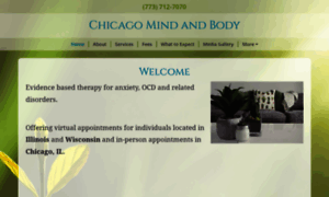 Chicagomindandbody.com thumbnail